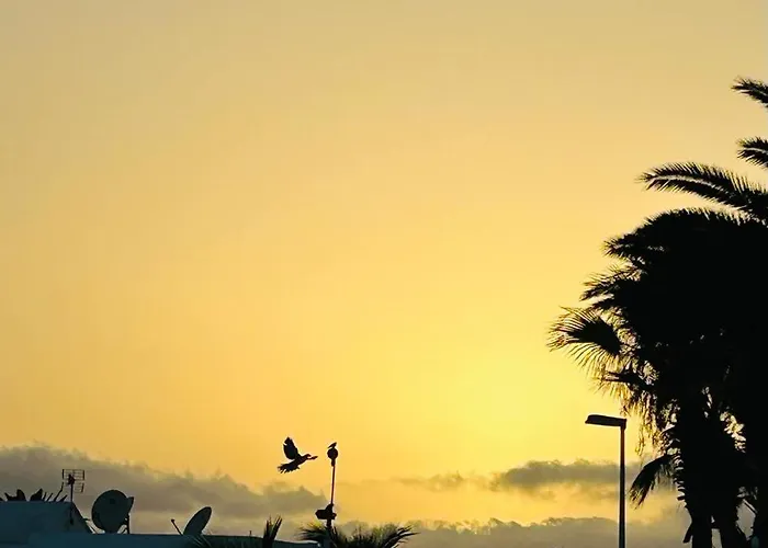 Laina Appartamento Tías